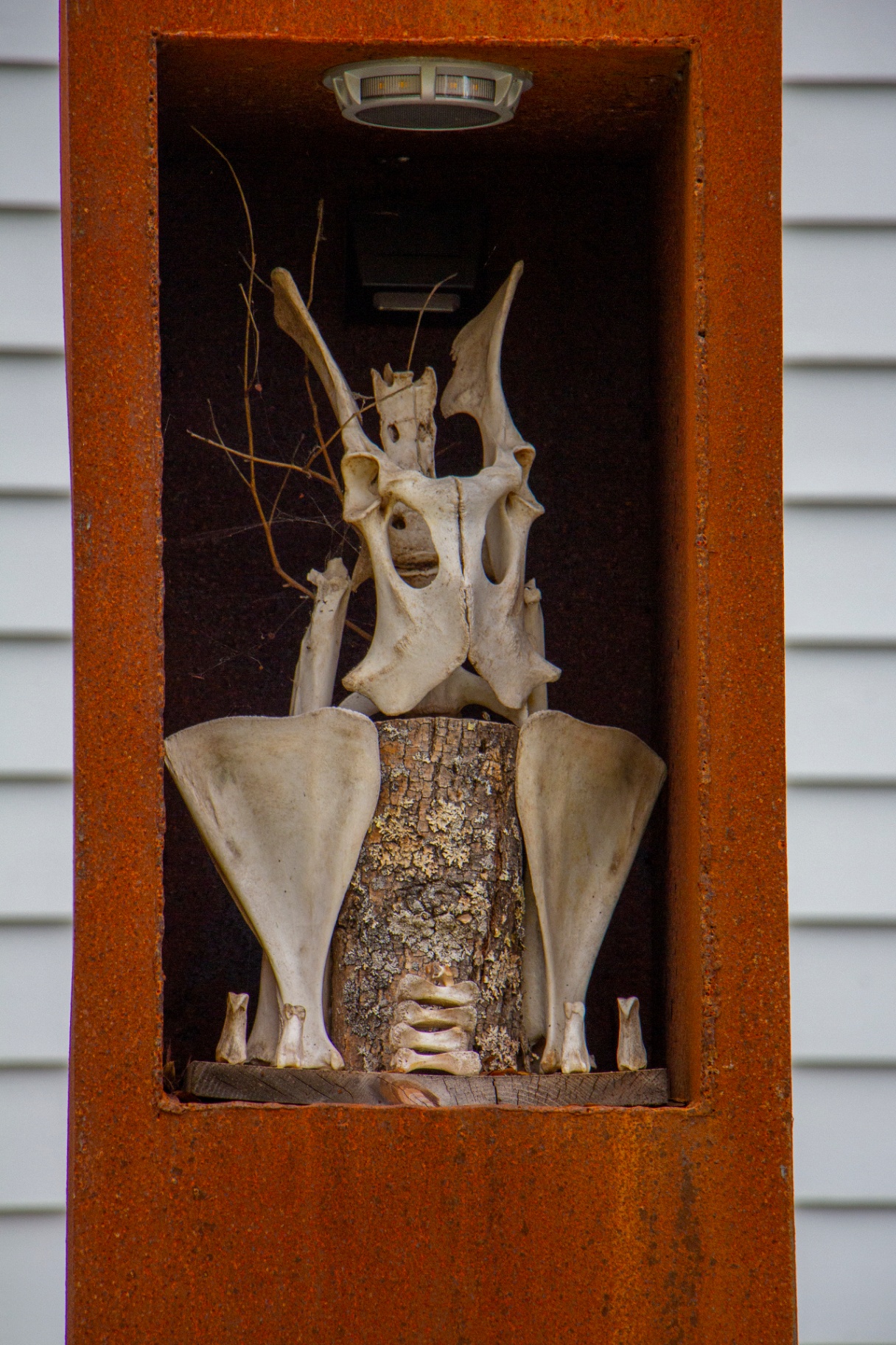 EQUINUNK gallery image 6