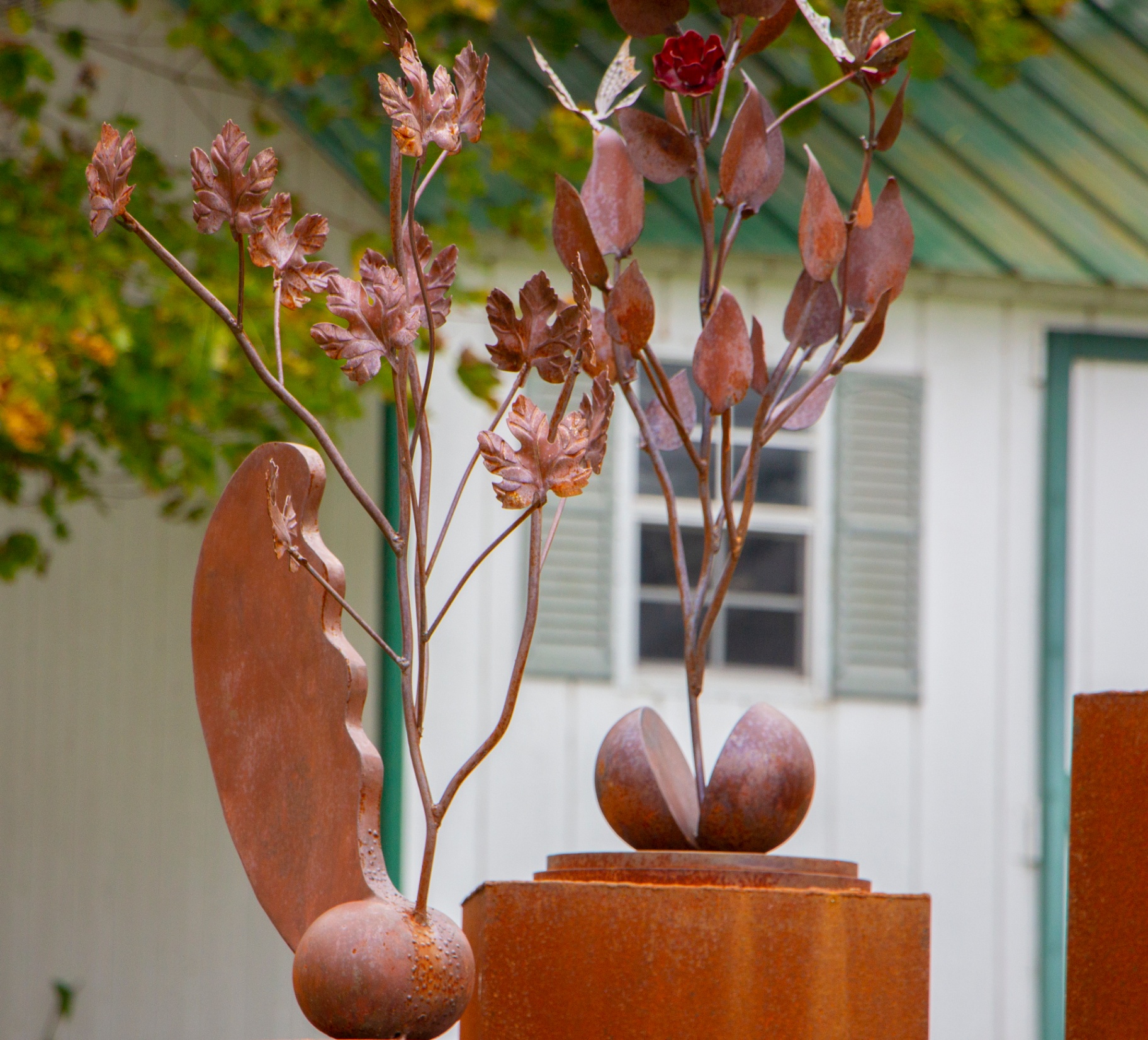 EQUINUNK gallery image 5