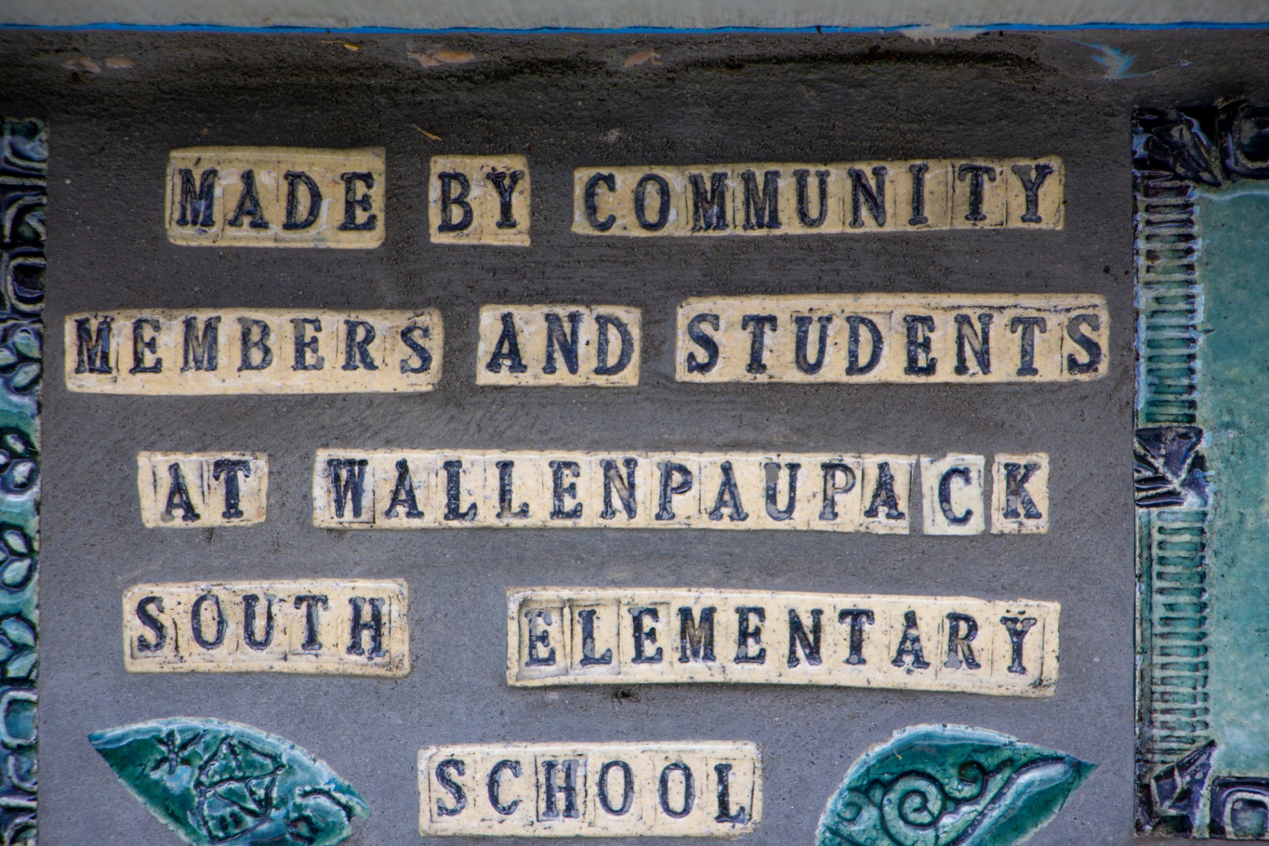 NEWFOUNDLAND gallery image 6